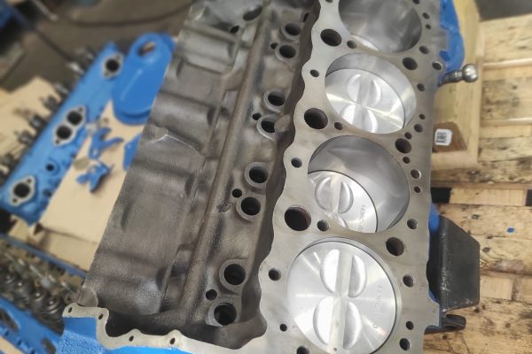 WhatsApp Image 2026-02-10 at 14.29.19 (3)